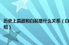 历史上嬴政和白起是什么关系（白起和嬴政历史上什么关系相关内容简介介绍）