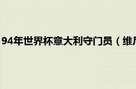 94年世界杯意大利守门员（维尼修斯 1985年生巴西足球守门员）