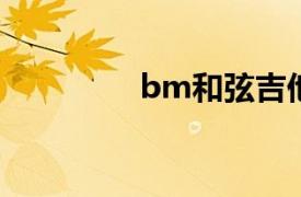 bm和弦吉他（和弦吉他）