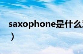 saxophone是什么意思（phone是什么意思）