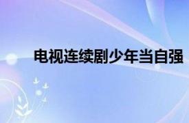 电视连续剧少年当自强（男儿当自强 24集网络剧）