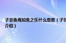 子非鱼焉知鱼之乐什么意思（子非鱼 焉知鱼之乐是什么意思相关内容简介介绍）