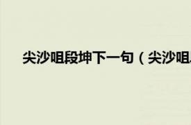 尖沙咀段坤下一句（尖沙咀段坤什么梗相关内容简介介绍）