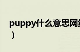 puppy什么意思网络用语（puppy什么意思）