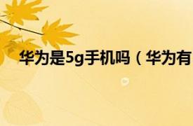 华为是5g手机吗（华为有5g手机吗相关内容简介介绍）