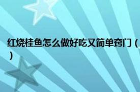 红烧桂鱼怎么做好吃又简单窍门（红烧桂鱼最正宗的做法相关内容简介介绍）