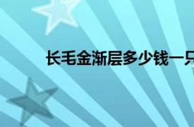 长毛金渐层多少钱一只（金渐层多少钱一只？）