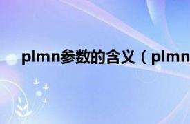 plmn参数的含义（plmn什么意思相关内容简介介绍）