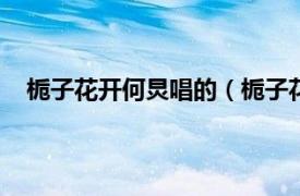 栀子花开何炅唱的（栀子花开 何炅、Angela演唱歌曲）