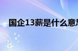 国企13薪是什么意思（13薪是什么意思）