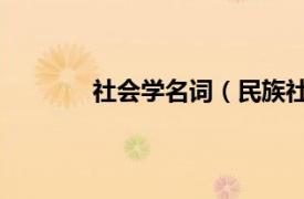 社会学名词（民族社会学 社会学领域术语）