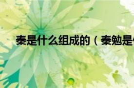 秦是什么组成的（秦勉是做什么的相关内容简介介绍）