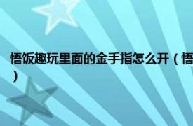 悟饭趣玩里面的金手指怎么开（悟饭趣玩怎么添加金手指相关内容简介介绍）