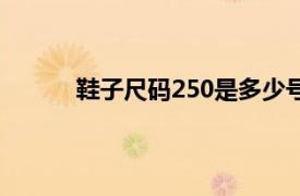 鞋子尺码250是多少号（鞋子尺码250是多大）