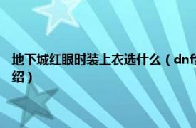 地下城红眼时装上衣选什么（dnf红眼上衣装扮选什么技能相关内容简介介绍）