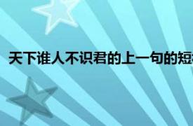 天下谁人不识君的上一句的短视频（天下谁人不识君的上一句）