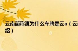 云南简称滇为什么车牌是云a（云南简称滇为什么车牌是云相关内容简介介绍）