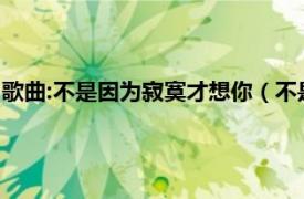 歌曲:不是因为寂寞才想你（不是因为寂寞才想你 T.R.Y演唱歌曲）