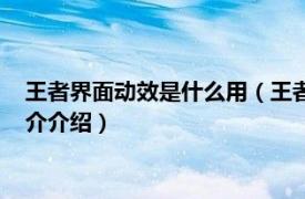 王者界面动效是什么用（王者荣耀界面动效什么意思相关内容简介介绍）