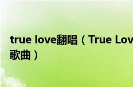 true love翻唱（True Love 2014年coldplay酷玩乐队创作歌曲）