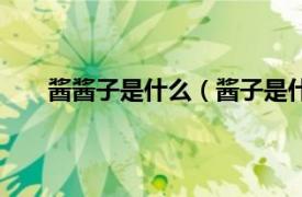 酱酱子是什么（酱子是什么意思相关内容简介介绍）