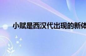 小赋是西汉代出现的新体赋,至西汉后期盛行（小赋）