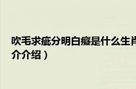 吹毛求疵分明白癡是什么生肖（吹毛求疵是什么生肖相关内容简介介绍）