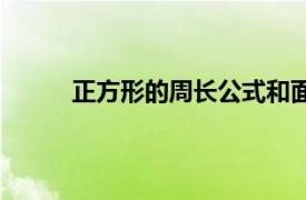 正方形的周长公式和面积公式（正方形的周长）