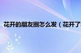 花开的朋友圈怎么发（花开了怎么发朋友圈相关内容简介介绍）