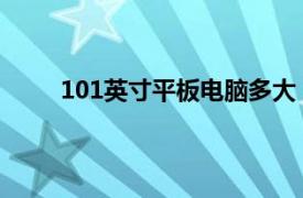 101英寸平板电脑多大（10.1英寸平板电脑多大）