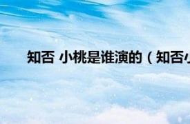 知否 小桃是谁演的（知否小桃谁演的相关内容简介介绍）