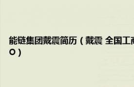 能链集团戴震简历（戴震 全国工商联新能源商会副会长、能链创始人、CEO）