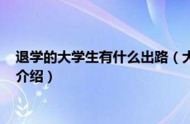 退学的大学生有什么出路（大学退学就没出路了吗相关内容简介介绍）