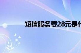 短信服务费28元是什么意思（短信服务费）