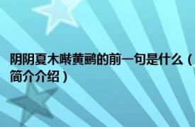 阴阴夏木啭黄鹂的前一句是什么（阴阴夏木啭黄鹂的上一句是什么相关内容简介介绍）