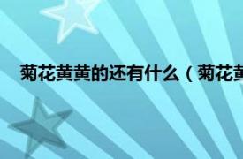 菊花黄黄的还有什么（菊花黄还有什么黄相关内容简介介绍）