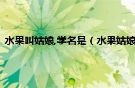 水果叫姑娘,学名是（水果姑娘的学名是什么相关内容简介介绍）