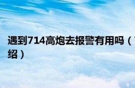 遇到714高炮去报警有用吗（714高炮可以报警吗相关内容简介介绍）