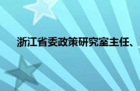 浙江省委政策研究室主任、副主任（浙江省委政策研究室）