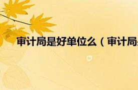 审计局是好单位么（审计局是好单位吗相关内容简介介绍）