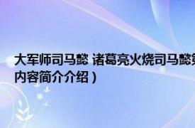 大军师司马懿 诸葛亮火烧司马懿第几集（诸葛亮火烧司马懿是第几集相关内容简介介绍）