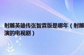 射雕英雄传张智霖版是哪年（射雕英雄传 张智霖版 1994年张智霖、朱茵主演的电视剧）