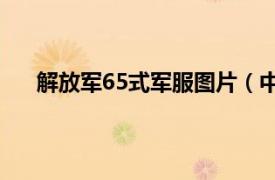 解放军65式军服图片（中国人民解放军1965式军服）