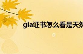 gia证书怎么看是天然钻石（gia证书怎么看）