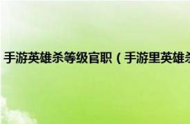 手游英雄杀等级官职（手游里英雄杀官职是怎么排序的相关内容简介介绍）