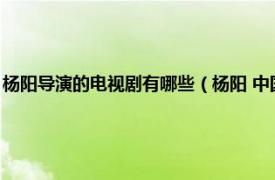 杨阳导演的电视剧有哪些（杨阳 中国中央电视台中国电视剧制作中心导演）