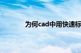 为何cad中用快速标注了没有显示尺寸数字