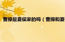 曹操是夏侯家的吗（曹操和夏侯家什么关系相关内容简介介绍）