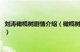 刘涛橄榄树剧情介绍（橄榄树 2011年刘涛和陈思成主演的电视剧）