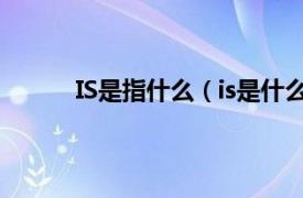 IS是指什么（is是什么软件相关内容简介介绍）